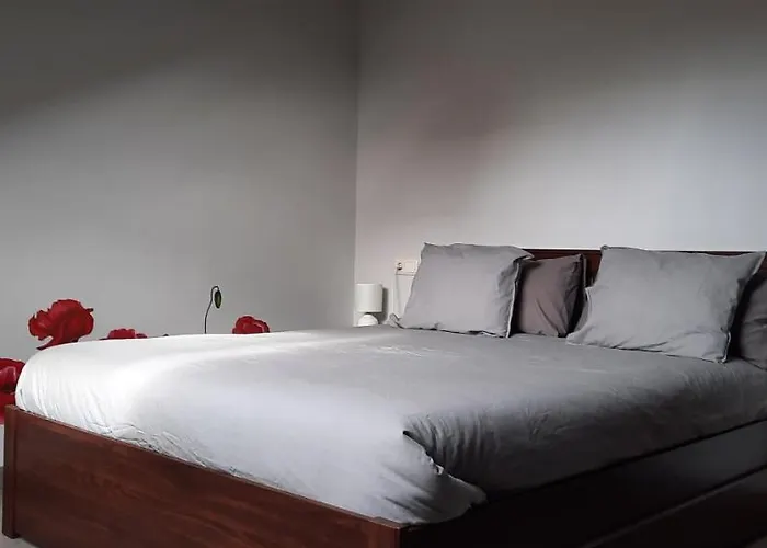 Duplex En Casas Da Brixida - קנגס דה מוראסו